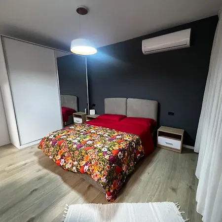 Amion In Center Of * Tirana