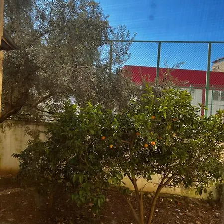Amion In Center Of Daire Tiran