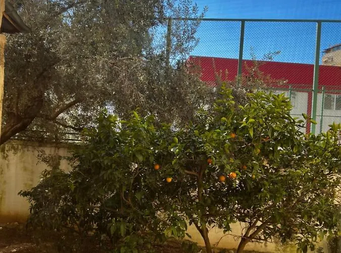 Amion In Center Of Apartament Tirana