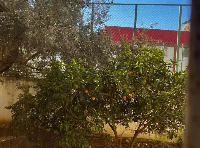 Amion In Center Of Tirana